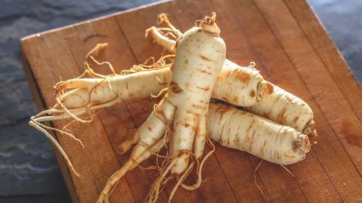 Panax Ginseng root — key ingredient in 24Burn